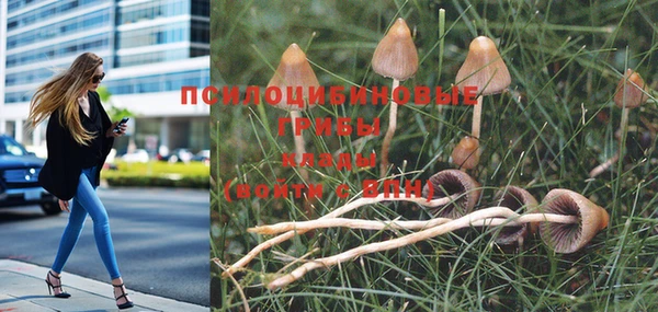 метамфетамин Лабытнанги