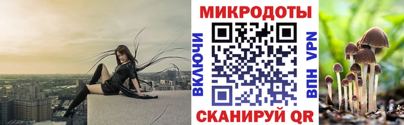 Галлюциногенные грибы мицелий мега зеркало Петухово купить наркотики цена